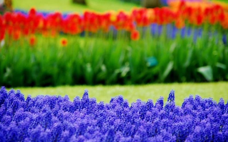 Życzenia - Dzień Pracownika Służby Zdrowia