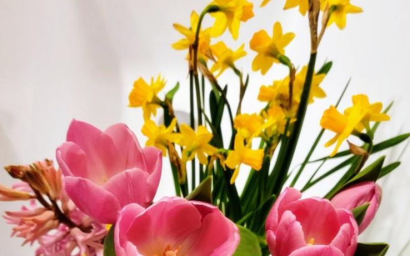 życzenia - 12. maja